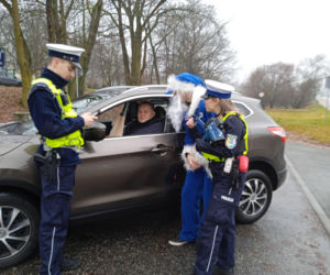 ESKOWY Polikołaj w Zielonej Górze