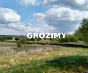 Grozimy