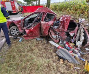 Tragedia na DW 306. Nie żyje 12-latek
