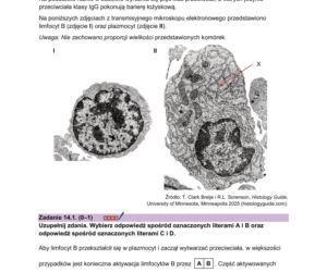 Próbna matura 2026 z biologii: Arkusze CKE, pytania i sugerowane odpowiedzi [14.01.2026]