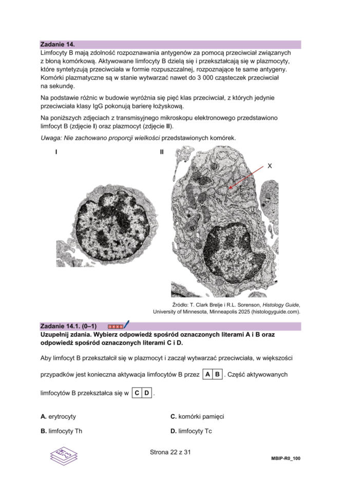 Próbna matura 2026 z biologii: Arkusze CKE, pytania i sugerowane odpowiedzi [14.01.2026]