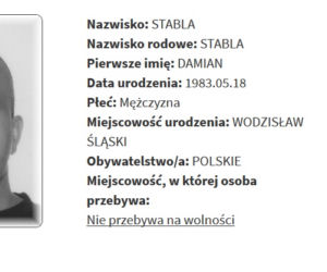 Rejestr Przestępców Seksualnych z województwa śląskiego [ZDJĘCIA]