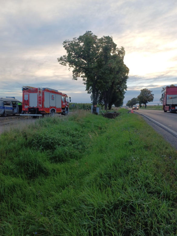 ​Samochód koziołkował w polu kukurydzy, kierowca nie żyje 