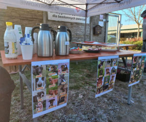 Bieg + 4 Łapy za nami. Wyjątkowy dzień w schronisku w Henrykowie koło Leszna