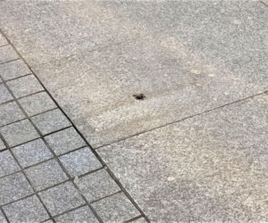 Ławki zniknęły z Alei Niepodległości