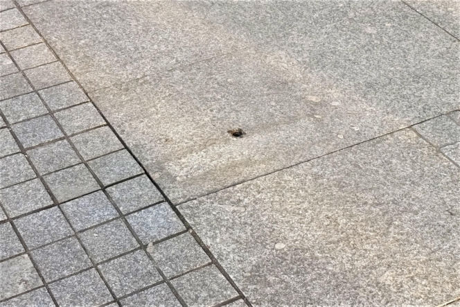 Ławki zniknęły z Alei Niepodległości