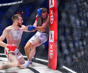 XTB KSW 121. Potężny cios w krocze, trybuny zamarły!