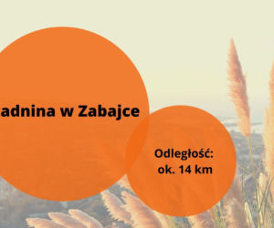 Majówka 2022: Gdzie na szybka wycieczkę z Rzeszowa? Ciekawe atrakcje 