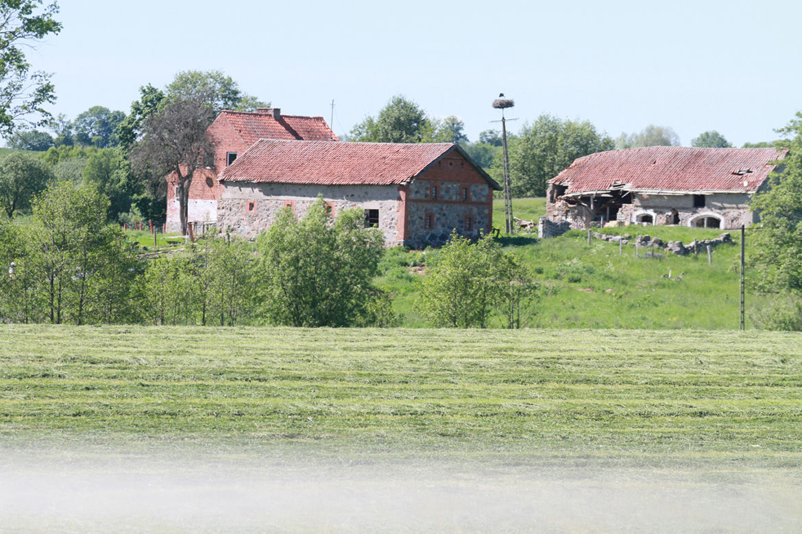 Nawiedzona szamanka głodzi zwierzęta