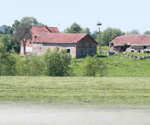 Nawiedzona szamanka głodzi zwierzęta