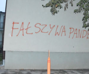 Zamość. Pisali, że pandemia nie istnieje. Grozi im więzienie