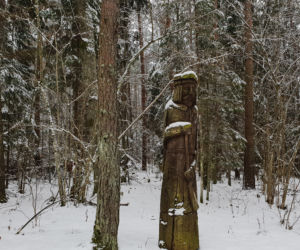 Podlasie w zimowej szacie