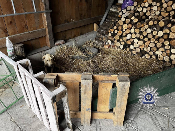 Szokująca interwencja w Chełmie