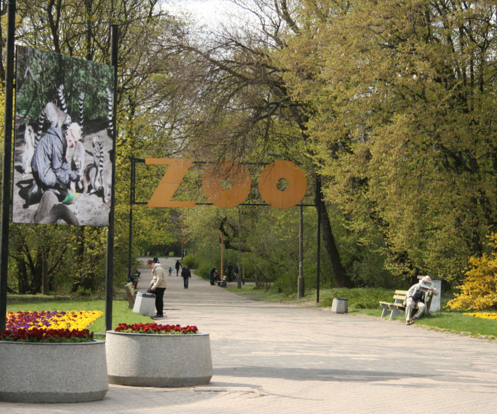 ZOO