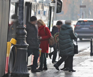 Katarzyna Bosacka w parku