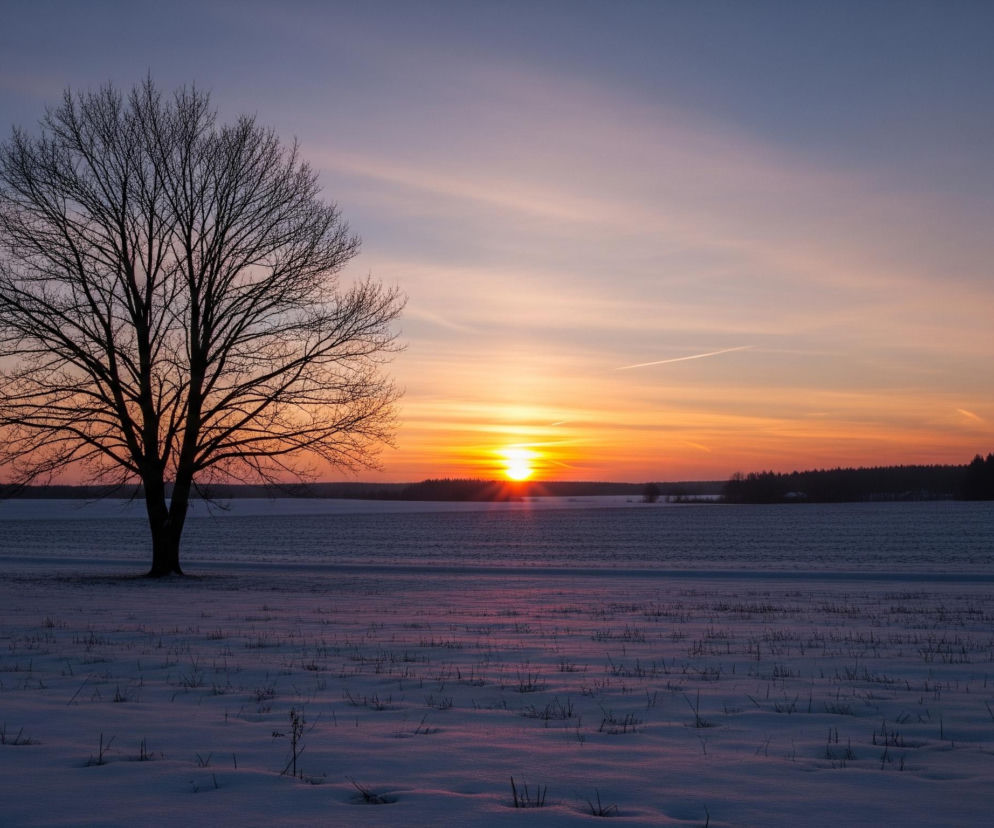 Samotne, bezlistne drzewo o ciemnych gałęziach dominuje po lewej stronie kadru, stojąc na zaśnieżonym polu pokrytym drobnymi, suchymi źdźbłami traw. Horyzont przecina ciemny pas lasu, za którym zachodzi słońce, tworząc intensywną, pomarańczowo-żółtą poświatę na tle fioletowo-różowego nieba. Na niebie widoczne są delikatne pasma chmur oraz jeden wyraźny smug kondensacyjny, biegnący ukośnie w prawą stronę.
