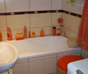 Zdjęcie 3781