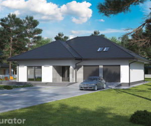 Projekt C329 Tymiankowy