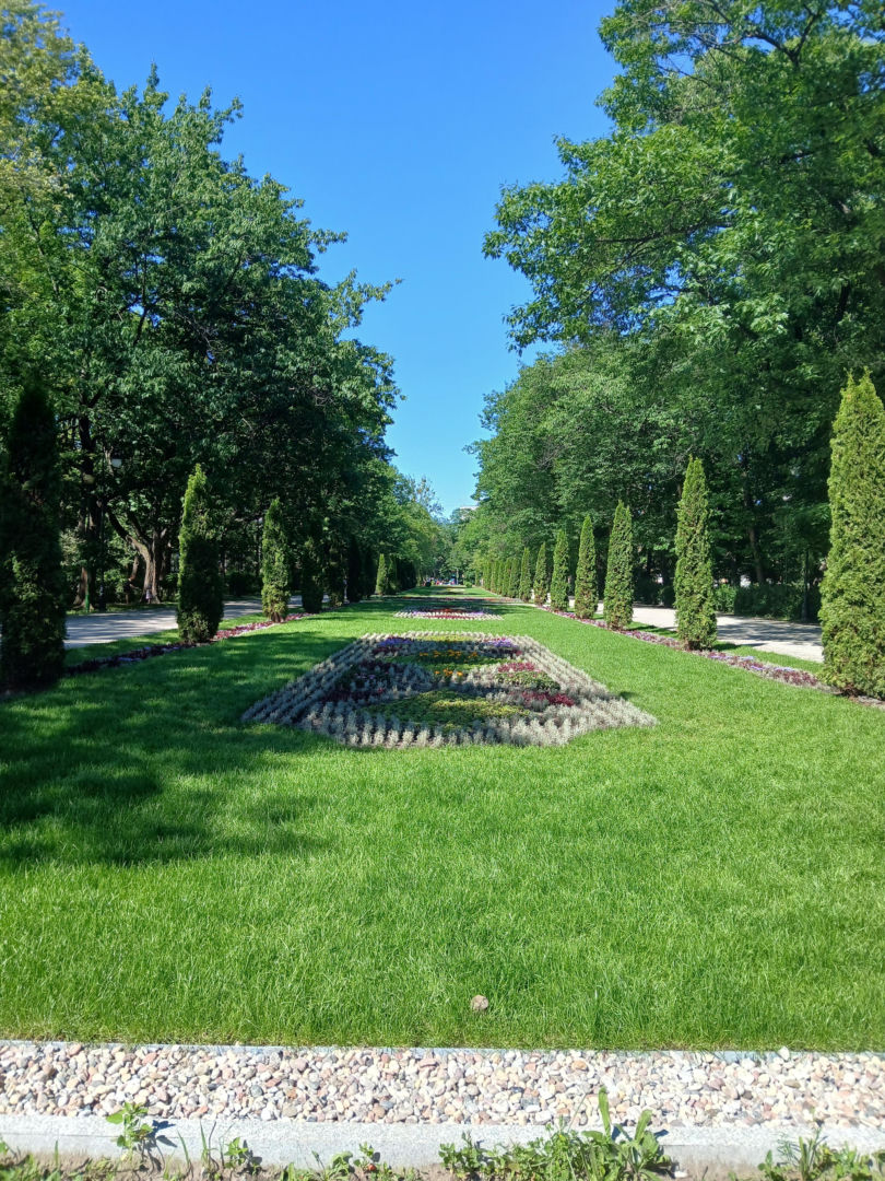 Przebudowa parku Planty w Białymstoku