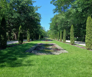 Przebudowa parku Planty w Białymstoku