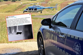 Puma na Dolnym Śląsku? Do akcji wkroczył policyjny śmigłowiec!