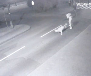 Emil osierocił dwoje dzieci