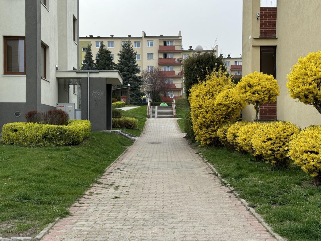 Wiosna w Lublinie rozkwitła kolorami! 
