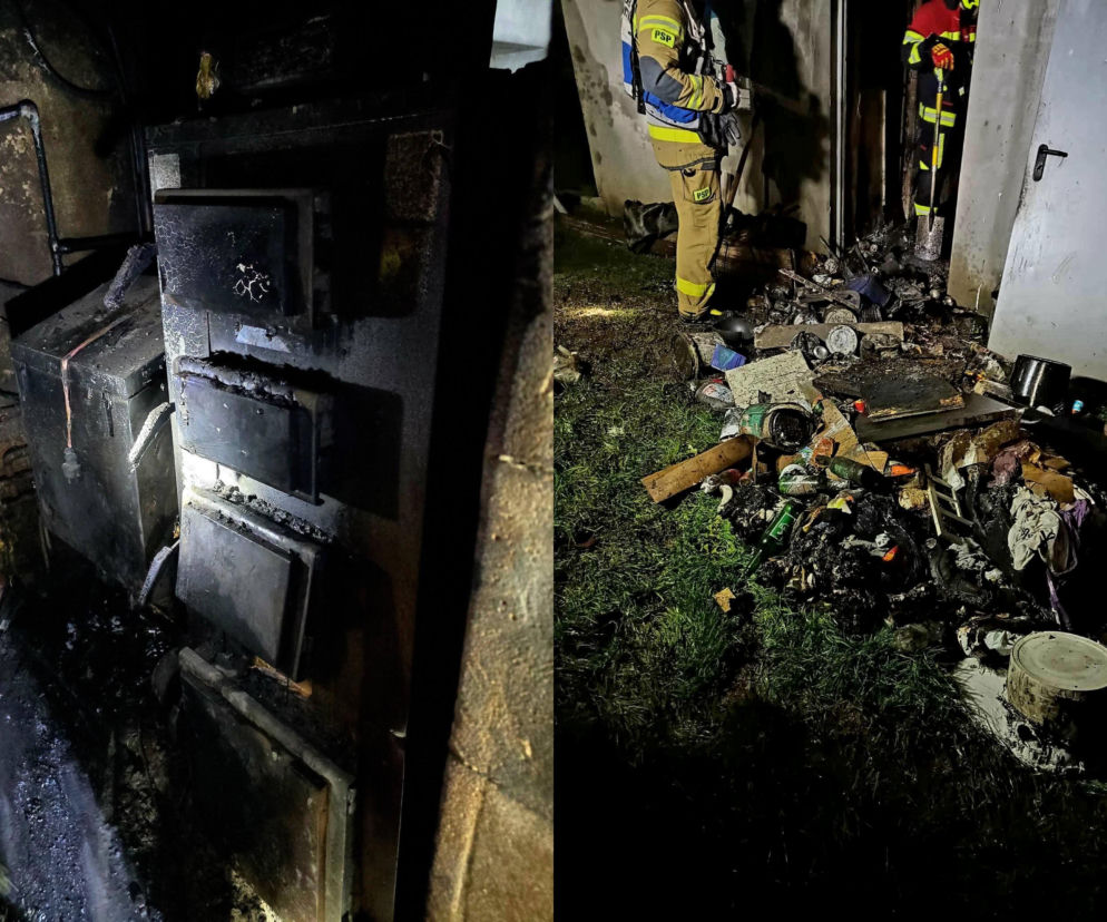 Grębocice. Pies uratował swojego właściciela przed pożarem [ZDJĘCIA]