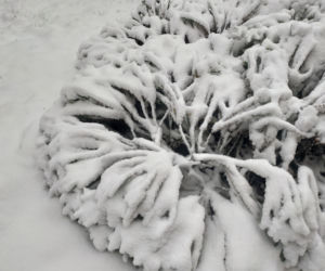 Pierwszy śnieg w regionie tarnowskim