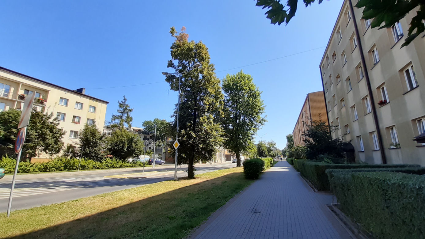 Wycinka drzewa oprotestowana