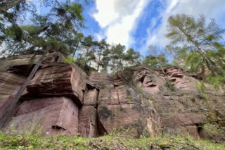 Polska Arizona tuż pod Kielcami. Ten „miniaturowy Wielki Kanion” skrywa skarb sprzed milionów lat 