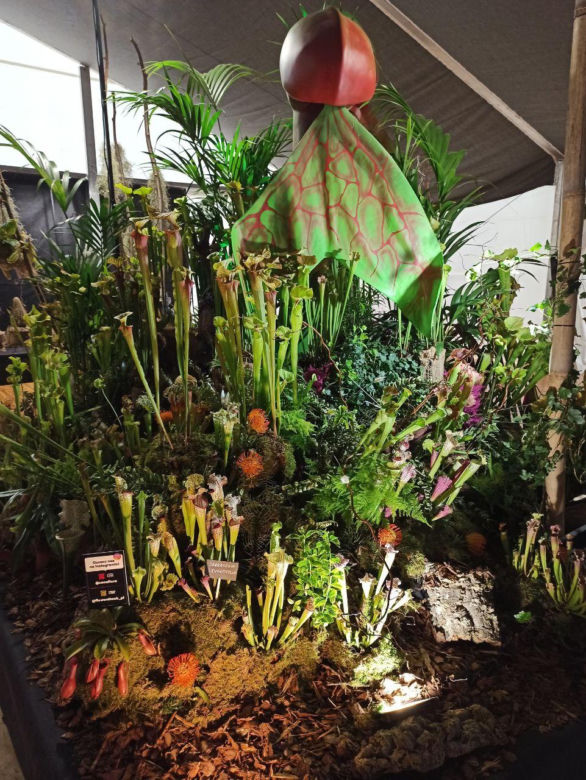 World Flower Show w Poznaniu
