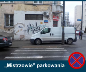 Mistrzowie Parkowania: Zobacz najbardziej kuriozalne pomysły kierowców