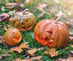 Lampion z dyni na Halloween