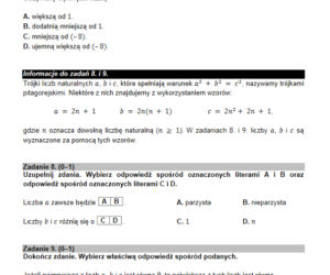 Egz ósmoklasisty 2021 matematyka