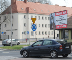 Koszalin: Poszukiwania kota
