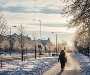 Radom, 21.01.2026. Czy czeka nas lodowata stabilizacja?