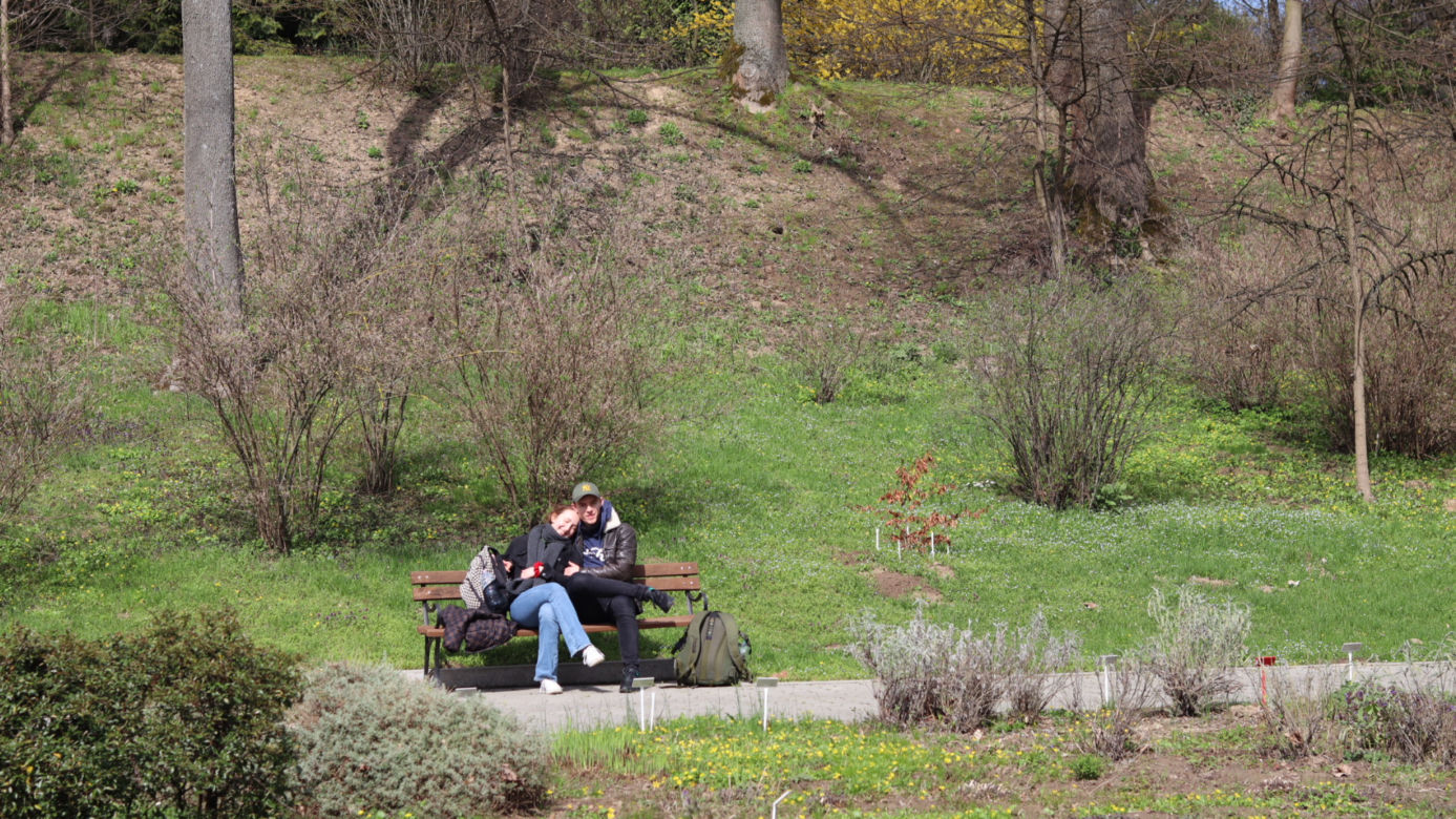 Ogród Botaniczny w Lublinie otwarty! Wszędzie widać wiosnę