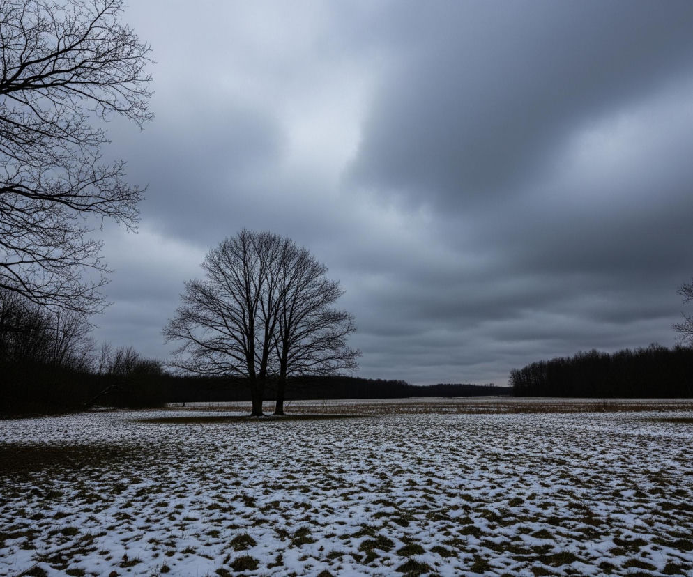 Centralnym punktem obrazu są dwa pozbawione liści drzewa, usytuowane na środku zasypanego śniegiem, brązowo-zielonego pola. Po lewej stronie, w pierwszym planie, widoczne są fragmenty rozłożystych, ciemnych gałęzi innego bezlistnego drzewa. Horyzont zamyka ciemny pas lasu, a nad całością rozciąga się zachmurzone, szare niebo.