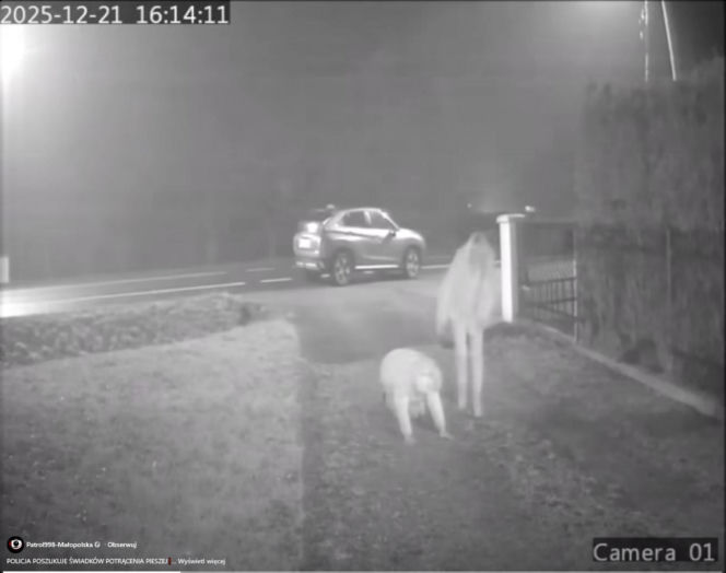 Dramat pod Krakowem. Seniorka czołgała się po jezdni, minęło ją kilkanaście samochodów