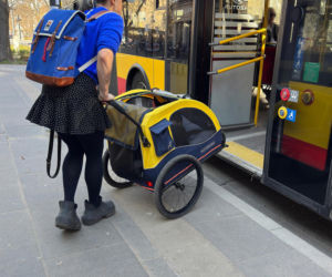 Tak Damięcka dba o psa