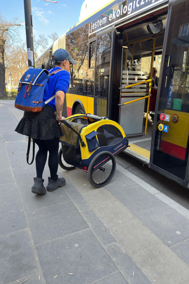 Tak Damięcka dba o psa