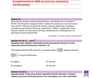 Matura 2026 biologia ROZSZERZONA: Arkusze CKE i odpowiedzi - sprawdź, czy zdałeś! 8.05.2026