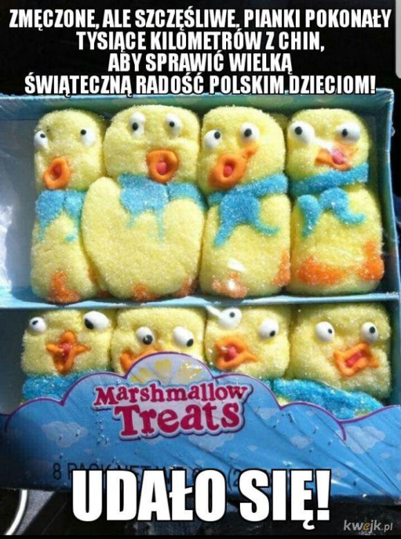 memy wielkanoc