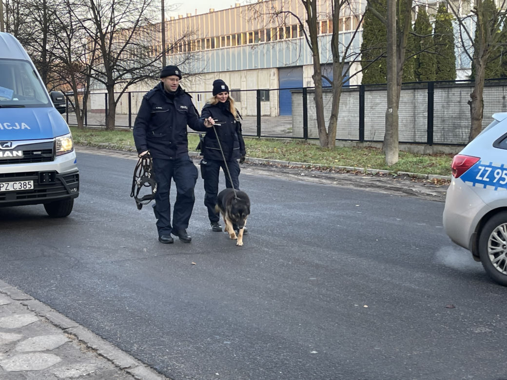 Auto rozwalone o drzewo. Nie żyje pasażerka, kierowca zwiał