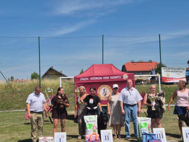 Wystawa psów rasowych w Ząbrowie