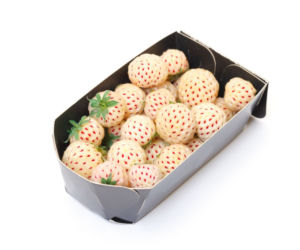 Pineberry