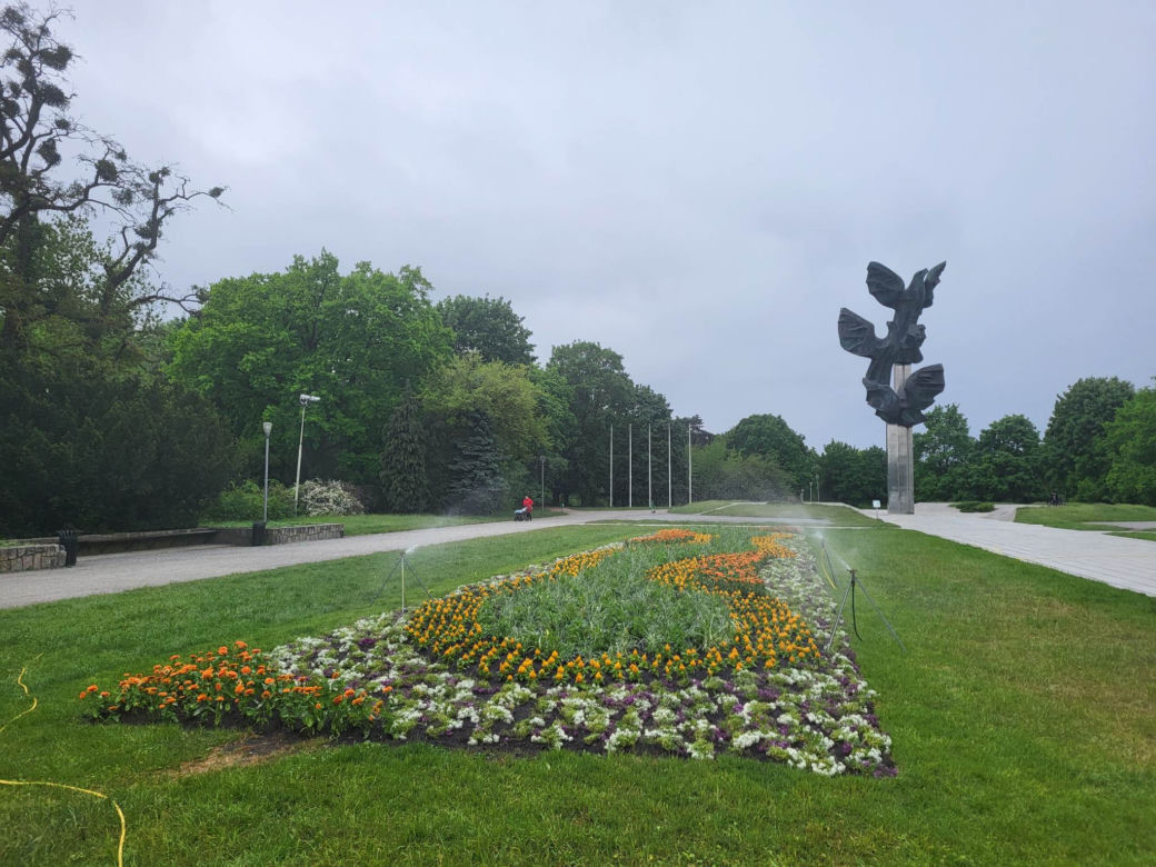 Kwiatowe kompozycje ozdobiły Szczecin