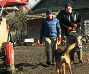 Rolnicy. Podlasie. Andrzej: To wszystko poobcinaj! Na łyso zrób!. Porządkowanie podwórka w Plutyczach