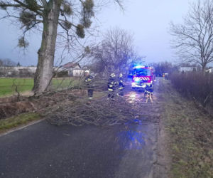 Drzewa na samochodach, zerwane dachy, brak prądu. Skutki wichury w Toruniu i okolicach